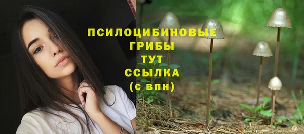 хмурый Алзамай