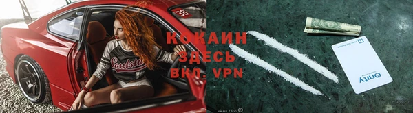 хмурый Алзамай