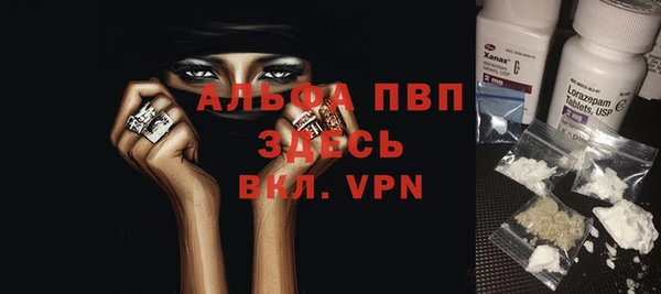 хмурый Алзамай