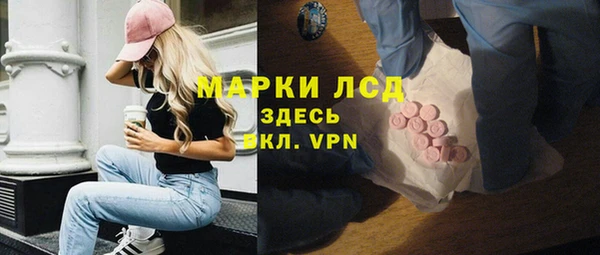 хмурый Алзамай