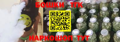 индика Пушкино