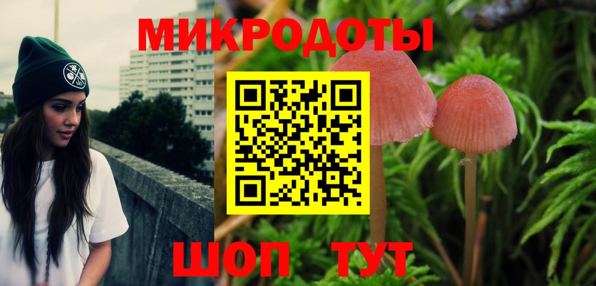 Галлюциногенные грибы Psilocybine cubensis Нарьян-Мар